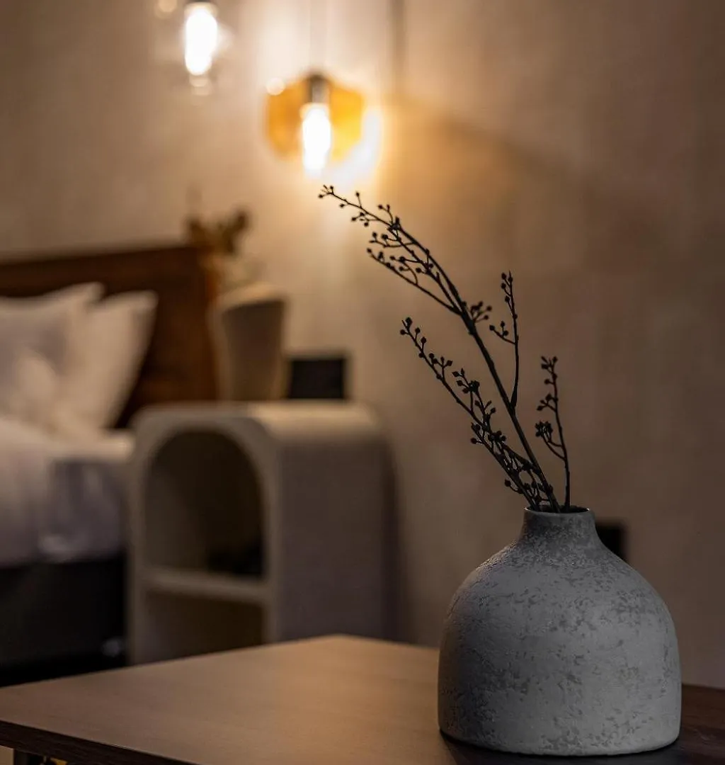 Japavista Radiant Villa Osaka